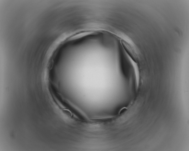 X0000113611472200910161918