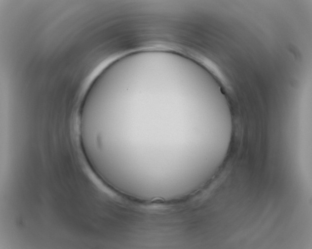 X0000113611476200910161918