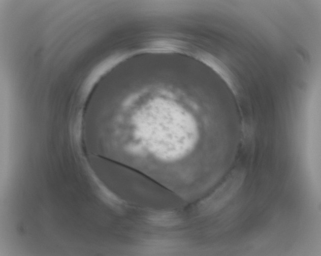 X0000113611477200910161918