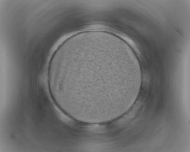 X0000113611478200910161918