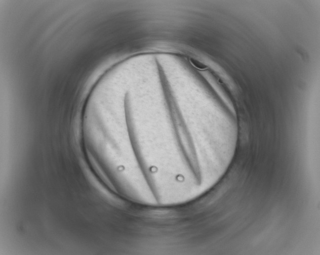 X0000113611479200910161918