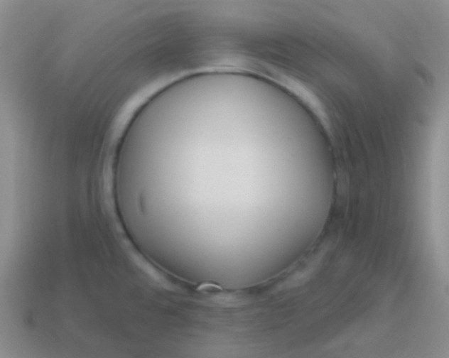 X0000113611480200910161918