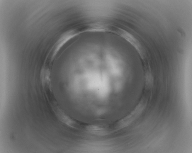 X0000113611481200910161918