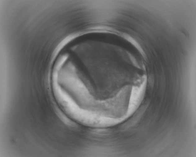 X0000113611482200910161918