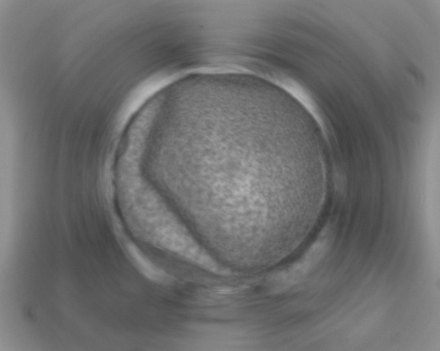 X0000113611485200910161918