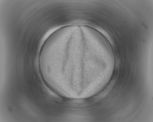 X0000113611486200910161918