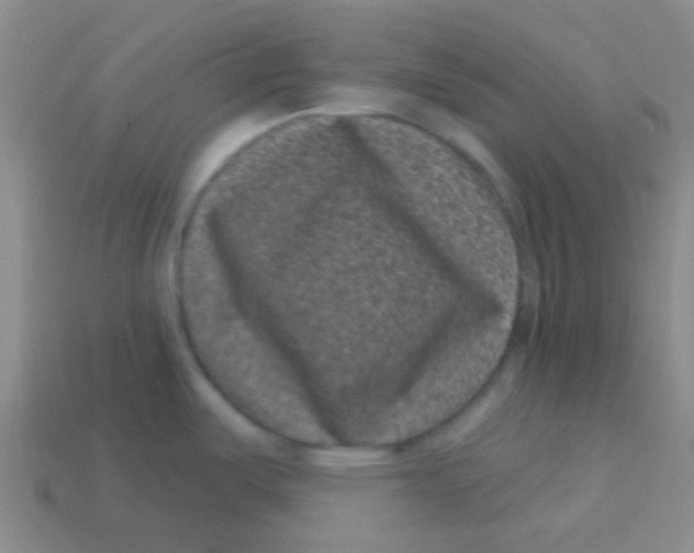 X0000113611487200910161918