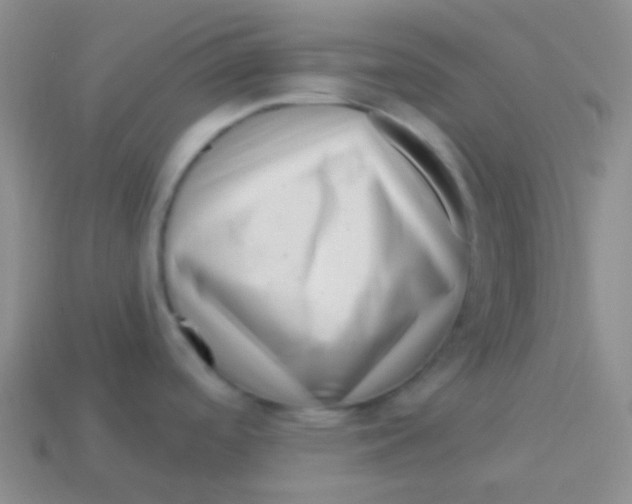 X0000113611488200910161918