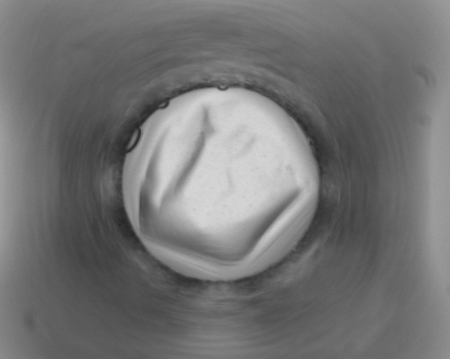 X0000113611490200910161917