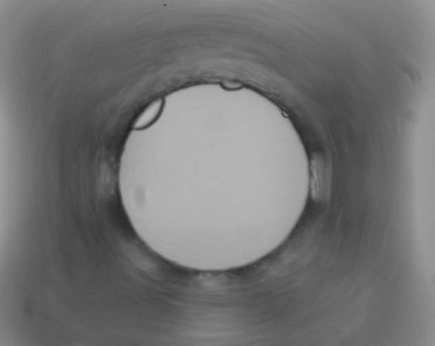 X0000113611491200910161917