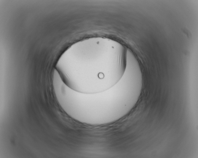 X0000113611492200910161917