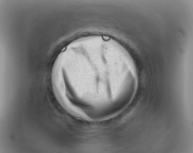 X0000113611494200910161917