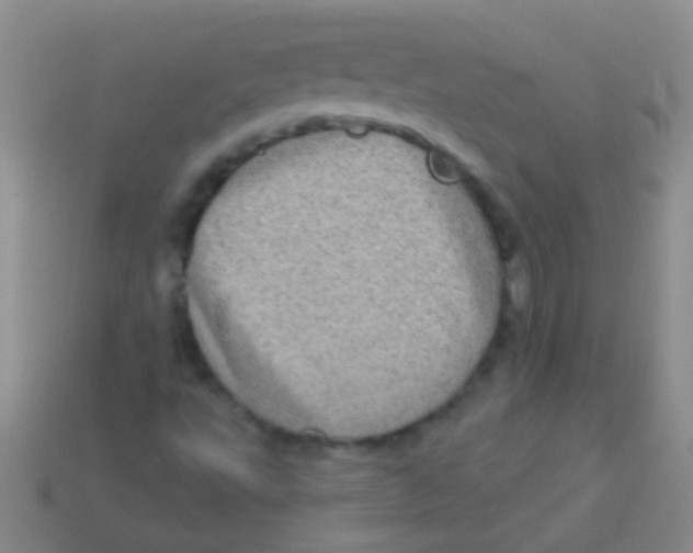 X0000113611495200910161917