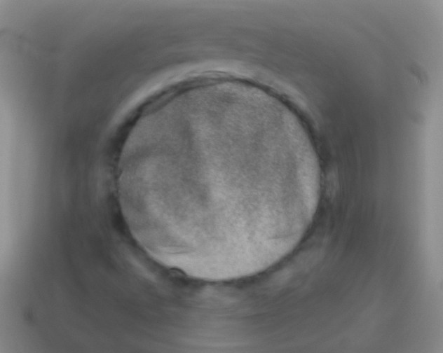 X0000113611496200910161917