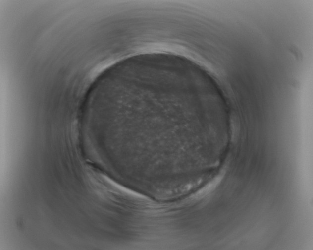 X0000113611497200910161917