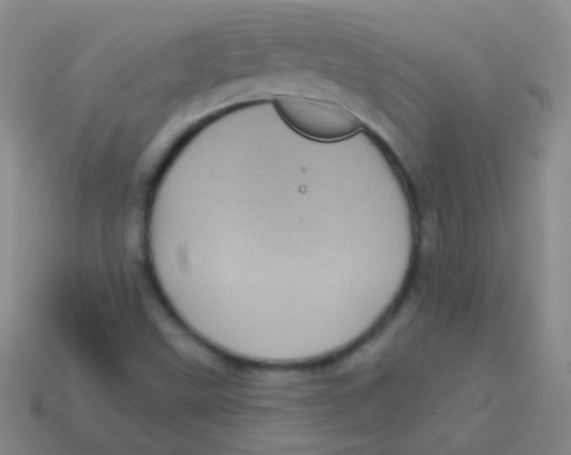 X0000113611499200910161917