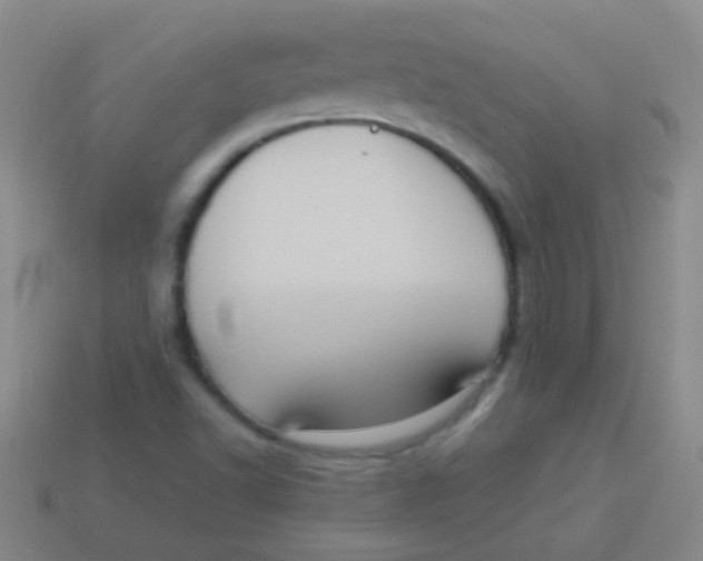 X0000113611502200910161917