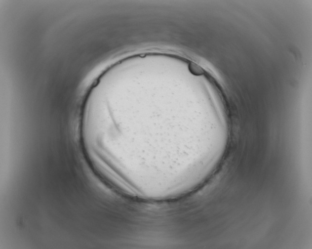 X0000113611504200910161917