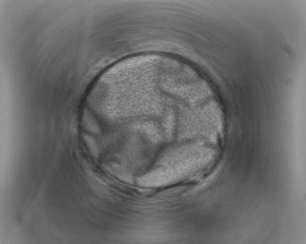 X0000113611505200910161917