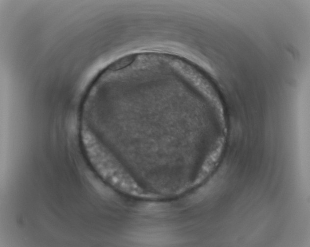 X0000113611506200910161917