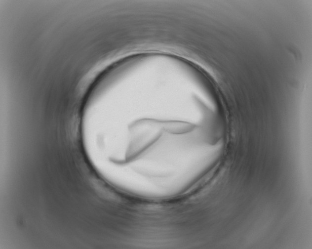 X0000113611507200910161917