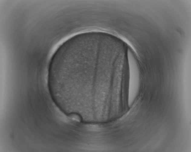 X0000113611508200910161917