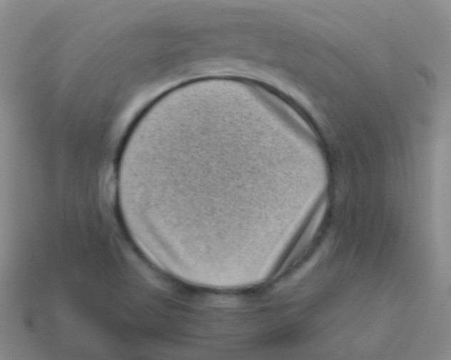 X0000113611509200910161917