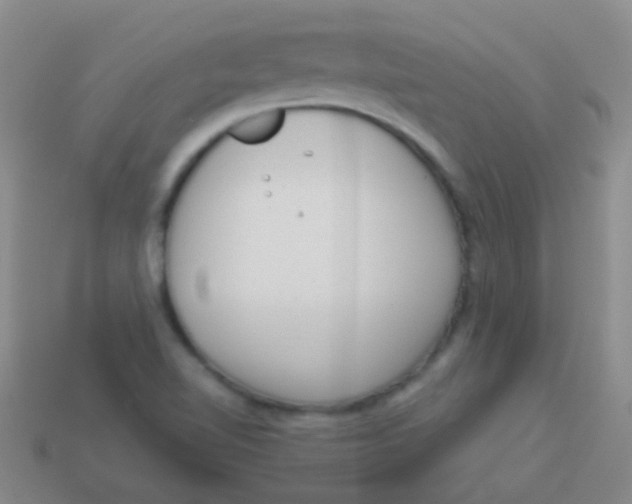 X0000113611510200910161917