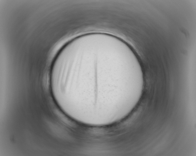 X0000113611511200910161917