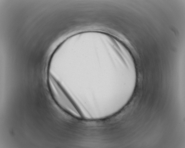 X0000113611512200910161917