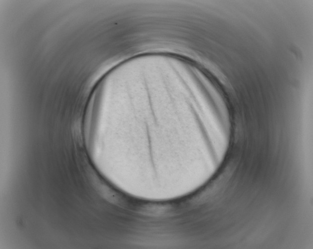 X0000113611513200910161917