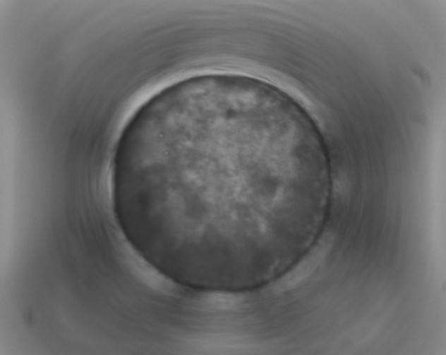 X0000113611514200910161917