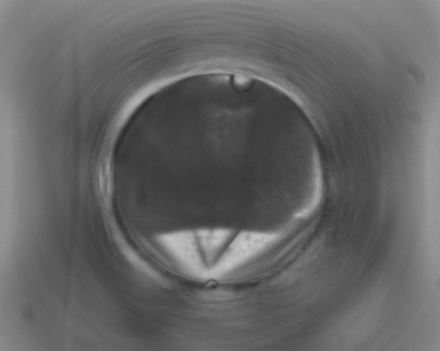 X0000113611515200910161917