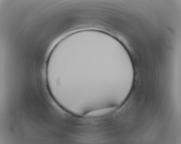 X0000113611516200910161917