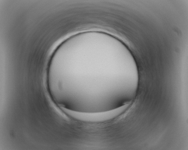 X0000113611518200910161917