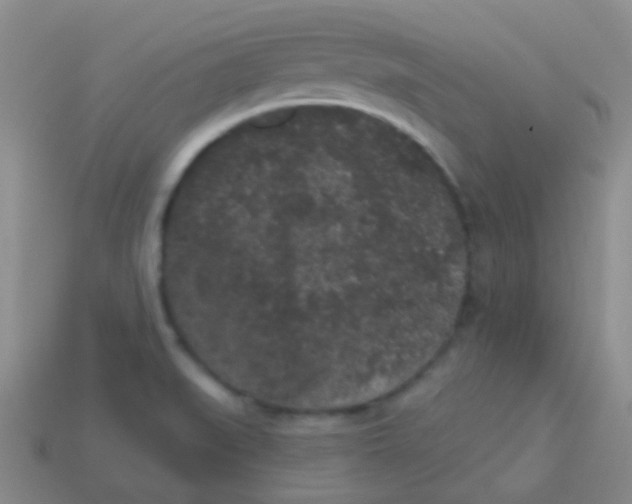 X0000113611519200910161917