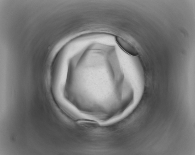 X0000113611520200910161917