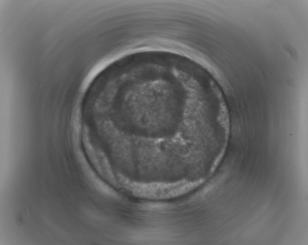 X0000113611522200910161917