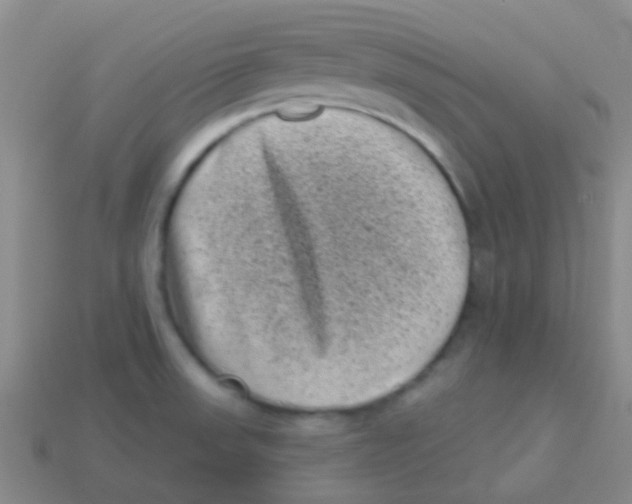 X0000113611523200910161917