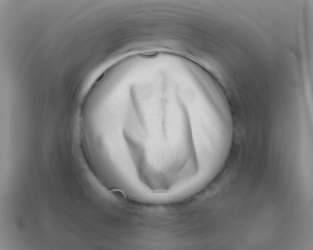 X0000113611524200910161917