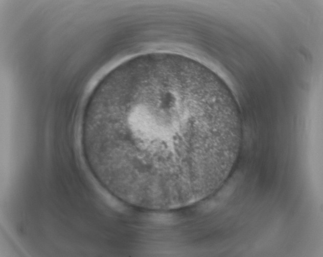 X0000113611525200910161917