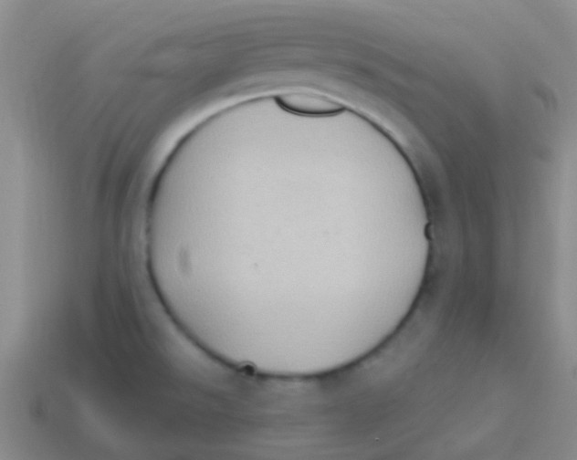 X0000113611526200910161917