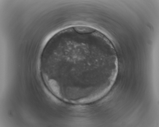 X0000113611527200910161917