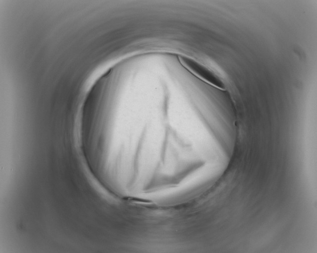 X0000113611528200910161917