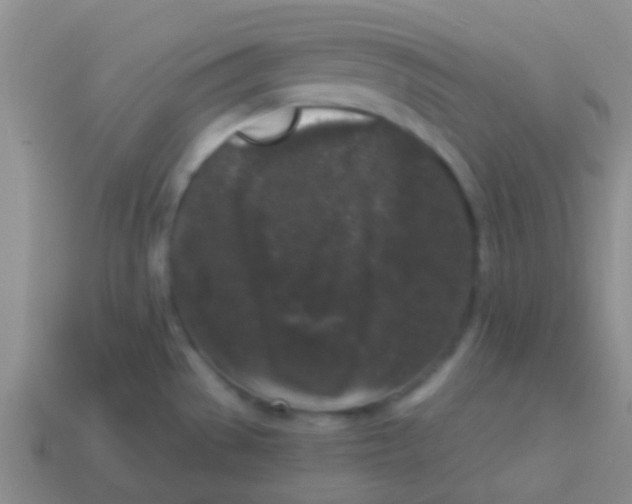 X0000113611529200910161917