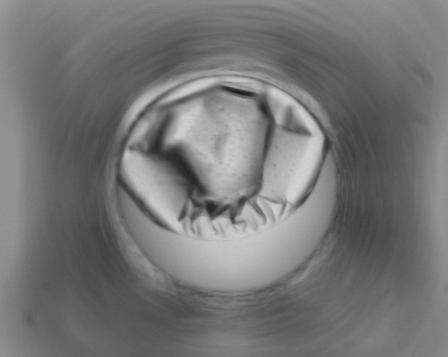 X0000113611530200910161917