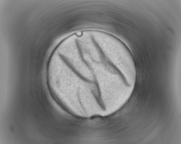 X0000113611531200910161917