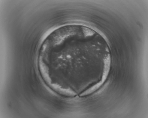 X0000113611533200910161918