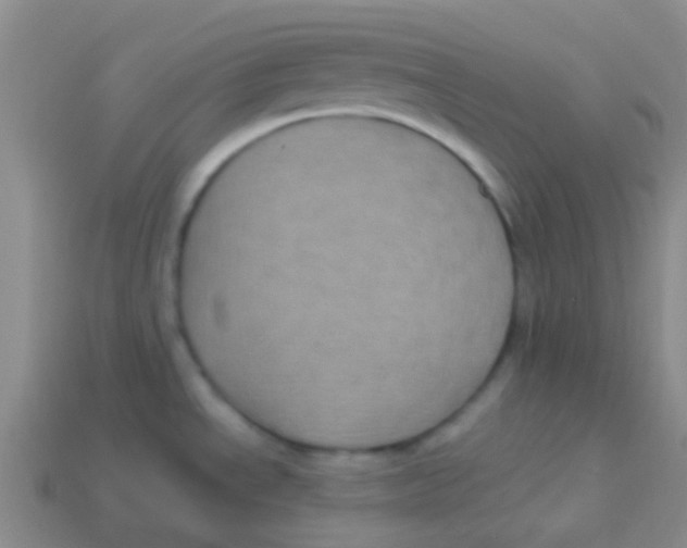 X0000113611534200910161918