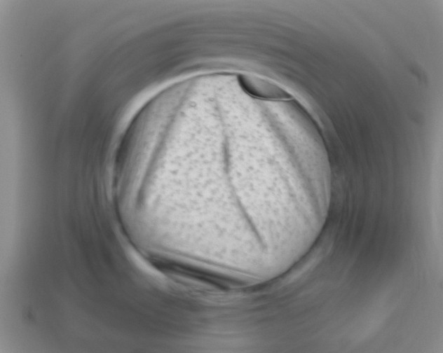 X0000113611535200910161918